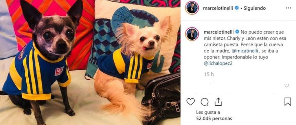 Los perros de Mica Tinelli ahora son de Boca (Foto: captura Instagram)