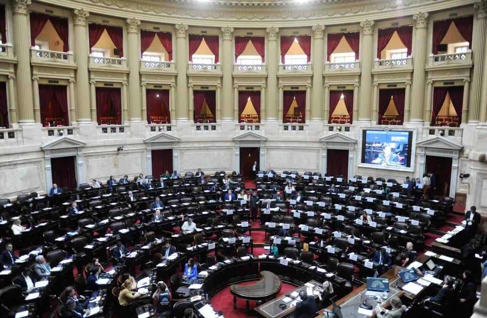 La Cámara de Diputados renovó 130 bancas de todos los distritos. Foto: Federico López Claro