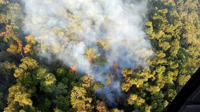 Ecología recuerda que se encuentra prohibido cualquier tipo de quema en todo el territorio provincial