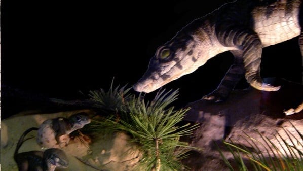 Nueva especie de cocodrilo prehistórico.