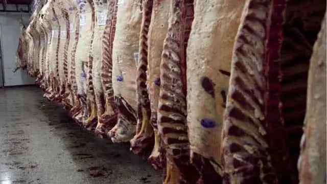 El Gobierno dispuso la flexibilización de las exportaciones de carne vacuna. (Archivo/La Voz).