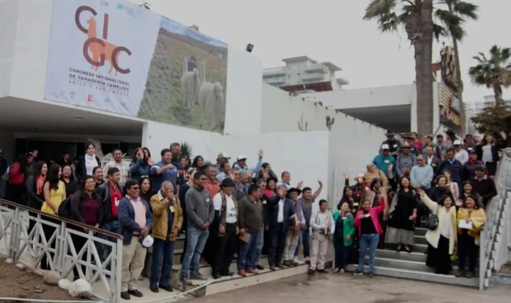 El Congreso Internacional de Ganadería Camélida realizado en Arica, Chile, tuvo importante asistencia de especialistas de la región.
