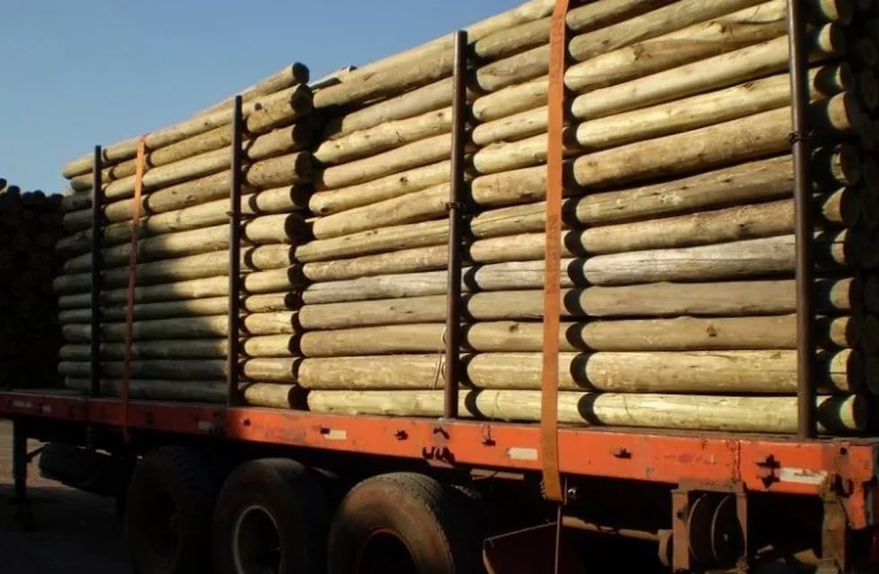 Camión con postes de eucaliptos. (Agrofy)