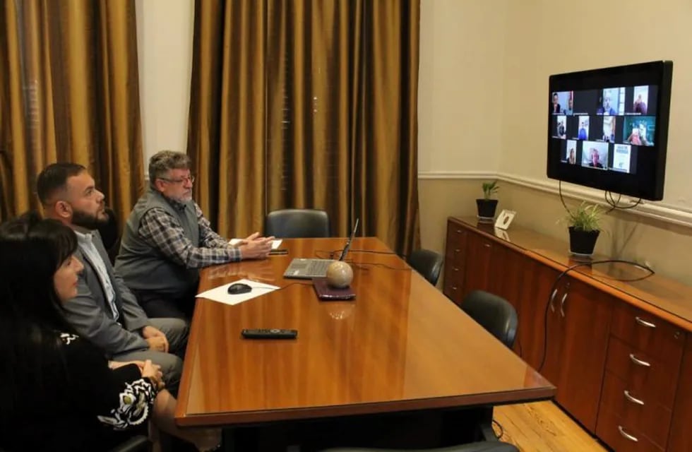 Los empresarios vienen manteniendo reuniones por videoconferencia desde fines de mayo. (FB / Aseavyt)