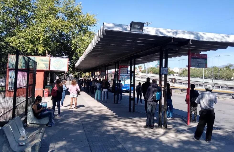 La Dirección de Transporte aumentará las frecuencias de algunas líneas escolares para facilitar la concurrencia de los ciudadanos a emitir su voto. Gobierno de Mendoza