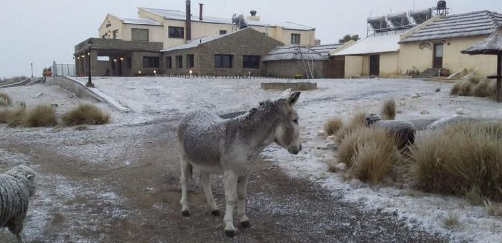 Última nevada en las Altas Cumbres, el pasado 23 de julio. (Foto: archivo).