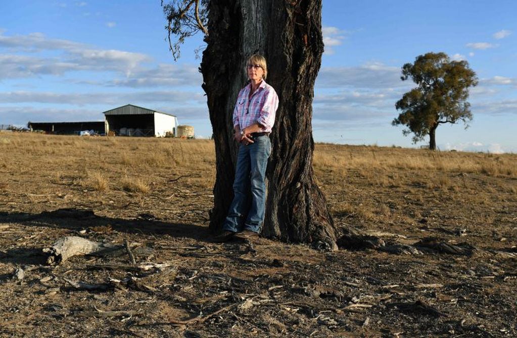 El agricultor Libby Martin muestra su granja afectada por la sequía en Guyra, Australia. Una escasez de agua sin precedentes en el este de Australia azotado por la sequía está llevando las realidades brutales del cambio climático y amenazando el estilo de vida del Outback, muy mitificado. Crédito: William WEST / AFP.