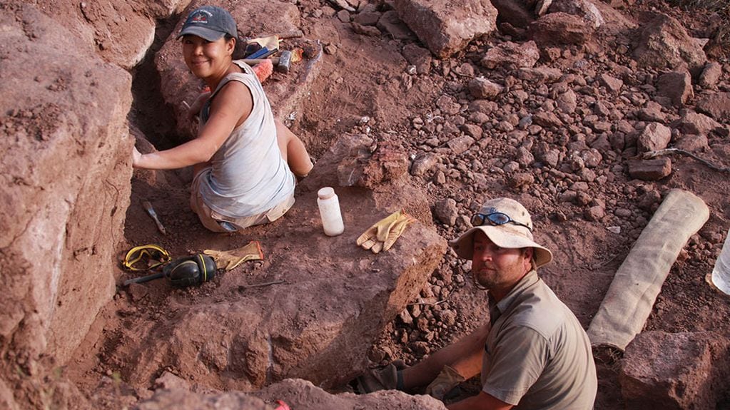 Se encontraron restos fósiles de cuatro ejemplares distintos.
