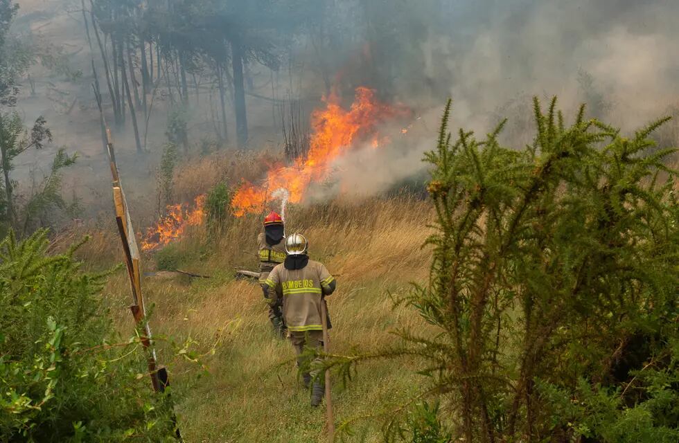 Unos bomberos de Chubut quedaron encerrados en las llamas en el Parque Nacional Los Alerces.