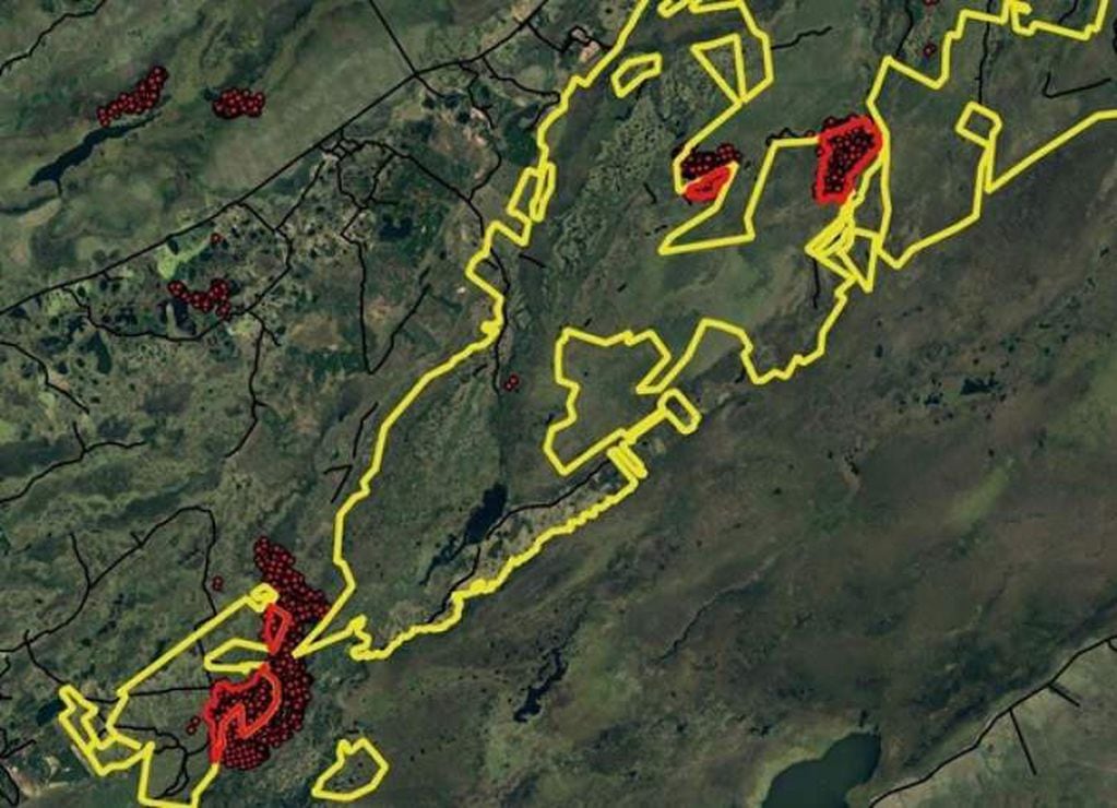 En amarillo el terreno del Núcleo Carambola al sur y Núcleo San Nicolás al norte, en rojo los focos de calor detectados.