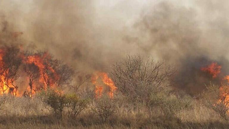 En otoño e invierno se incrementa el riesgo de incendios forestales (Archivo).