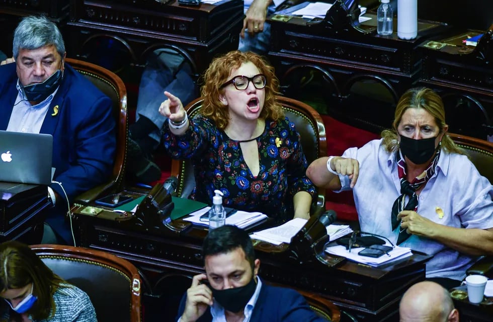 Sesión en la cámara de diputados por la ley de etiquetado frontal. Foto Federico López Claro.
