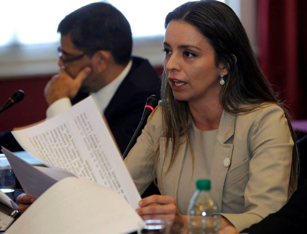 La parlamentaria del Mercosur por el Frente Cambiemos de Argentina, Marina Zuvic (EFE/Juan Ignacio Mazzoni)