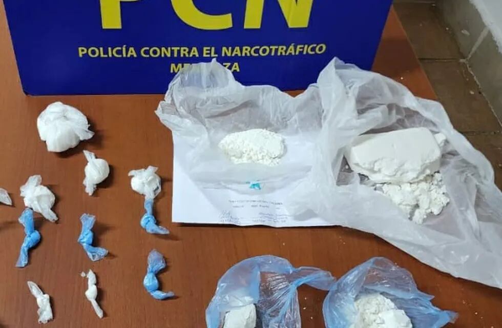 La policía antinarcóticos incautó casi medio kilo de cocaína en San Martín.
