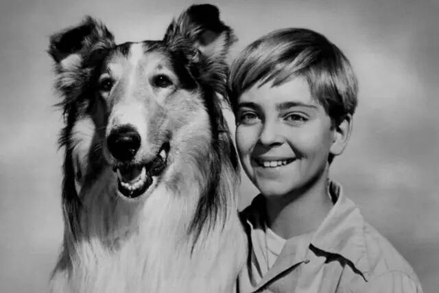 Lassie y su serie de TV de 1955