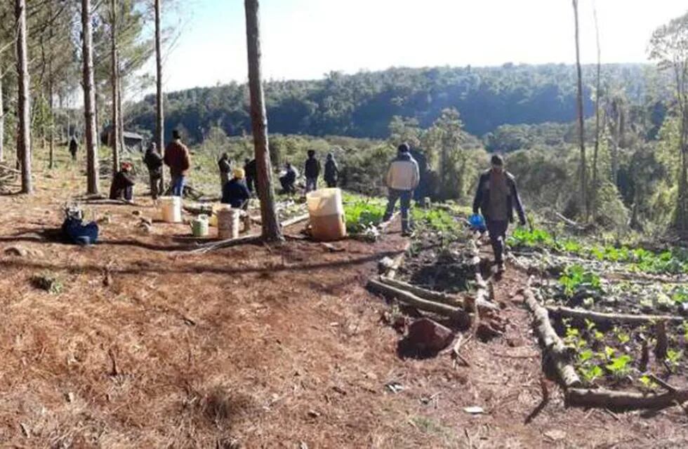 Denuncian toma de tierras en Puerto Piray.