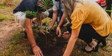 Plantaron 146 plantines de especies nativas en el Aeropuerto de Iguazú
