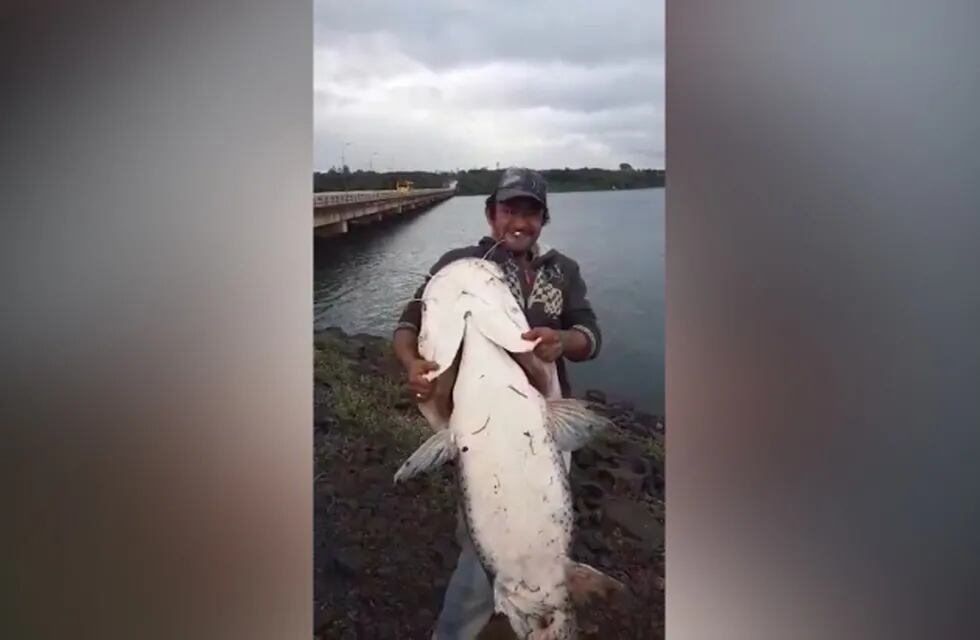 El video se hizo viral en redes sociales pero no se sabe si este animal capturado fue devuelto al río.