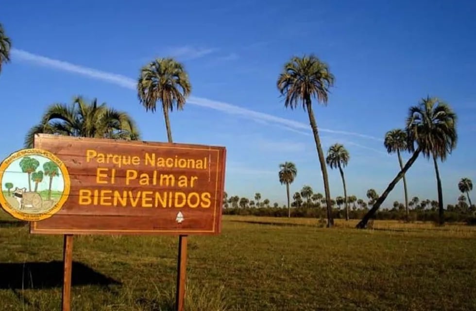 Actualizaron el plan de caza de jabalí y ciervo axis en el Parque Nacional El Palmar de Entre Ríos