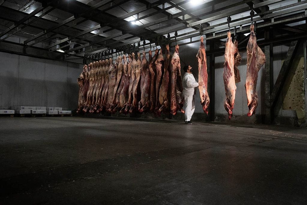 Precio gancho de la carne  Foto: Ignacio Blanco / Los Andes