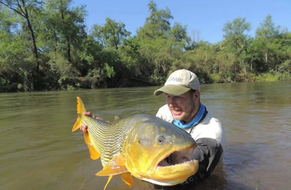Dorado gigante en el Río Juramento (Tiempo de Pesca)