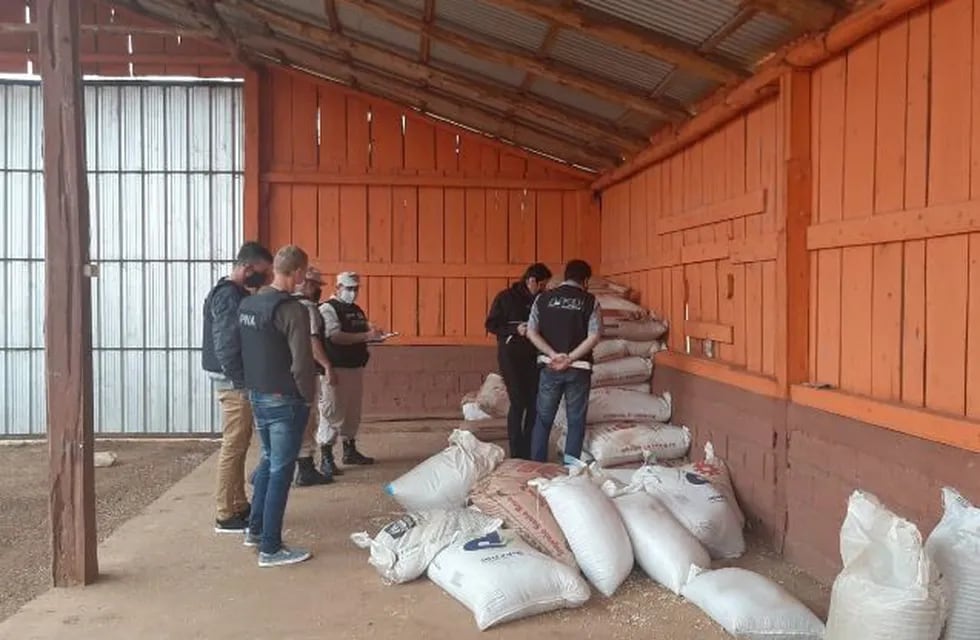Secuestran seis toneladas de soja lista para la exportación ilegal en Alba Posse