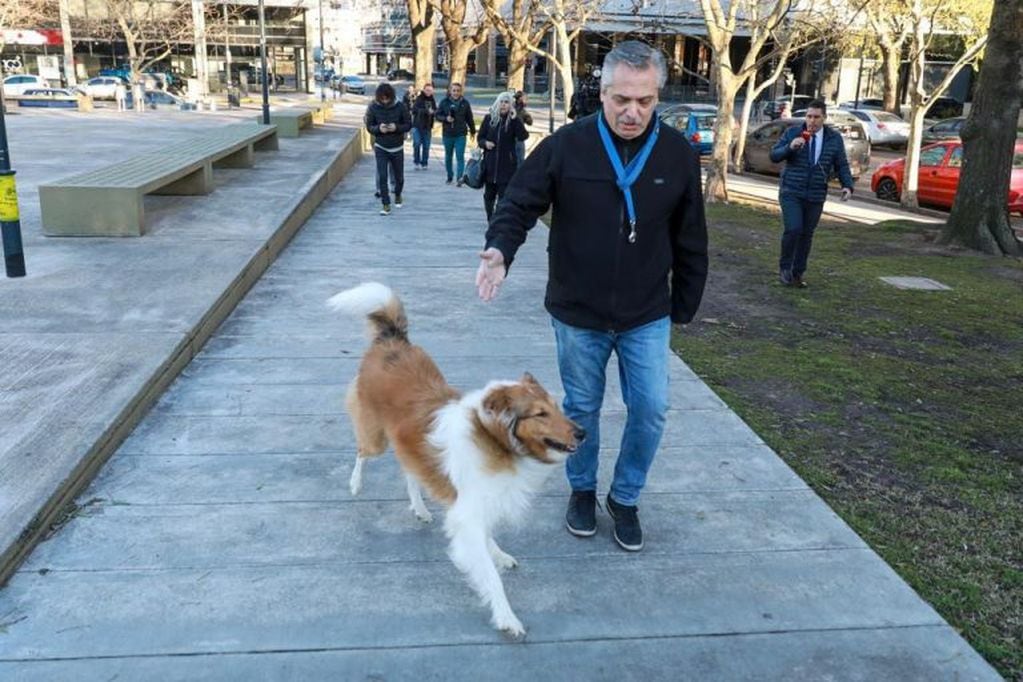 Alberto Fernández sacó a pasear a su perro Dylan antes de votar (Foto: Frente de Todos).