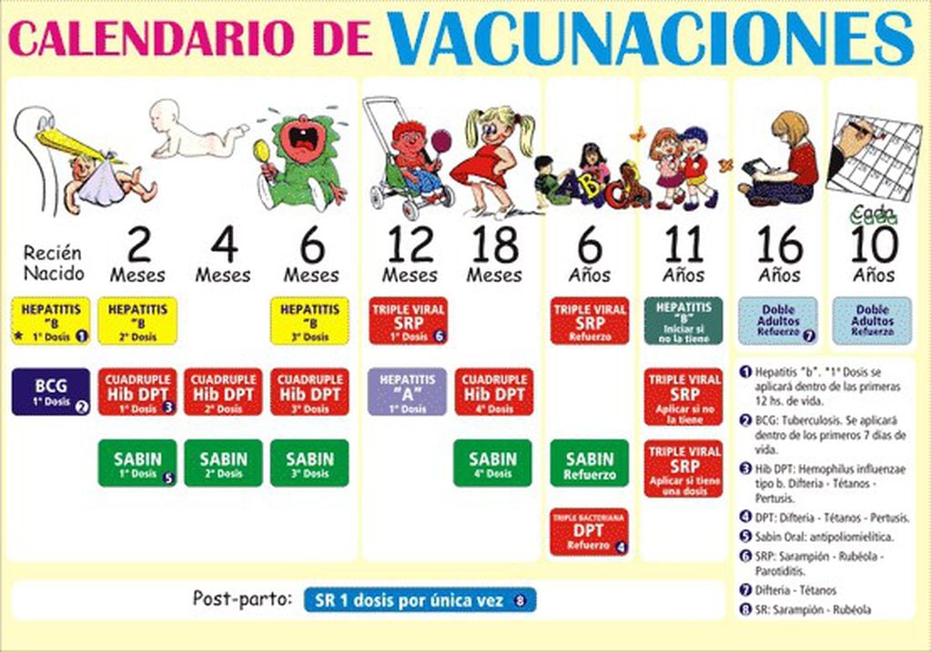Ver el Calendario de vacunación y consultar al pediatra