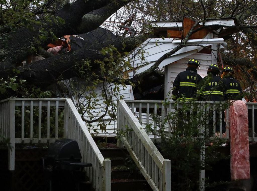 Cientos de casas se vieron dañadas por la caída de árboles. Foto: AFP.