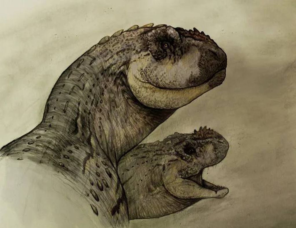 La National Geographic compartió el nuevo descubrimiento de un dinosaurio en Roca.