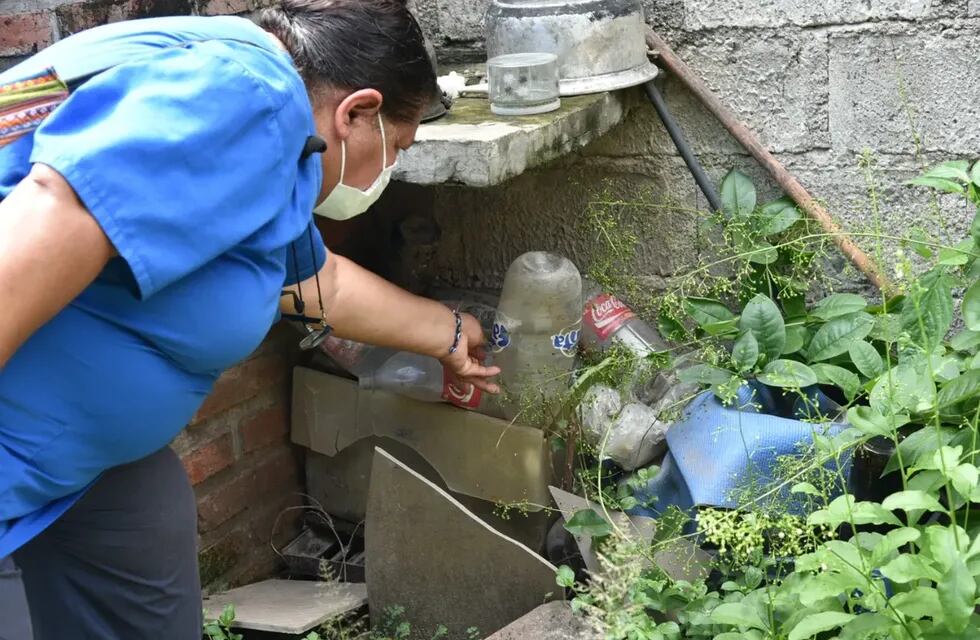 Dar vuelta todo recipiente que estando a la intemperie pueda acumular agua, es una eficaz medida para evitar la propagación del mosquito transmisor del dengue.