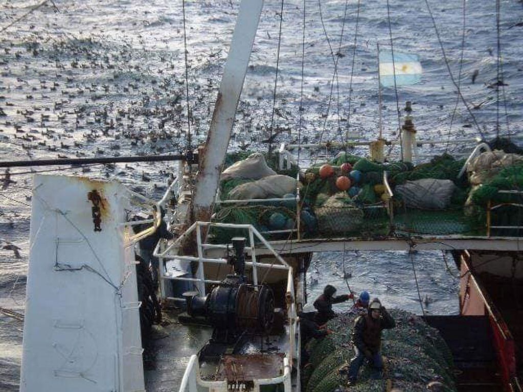 puerto deseado suspenden pesca de langostino