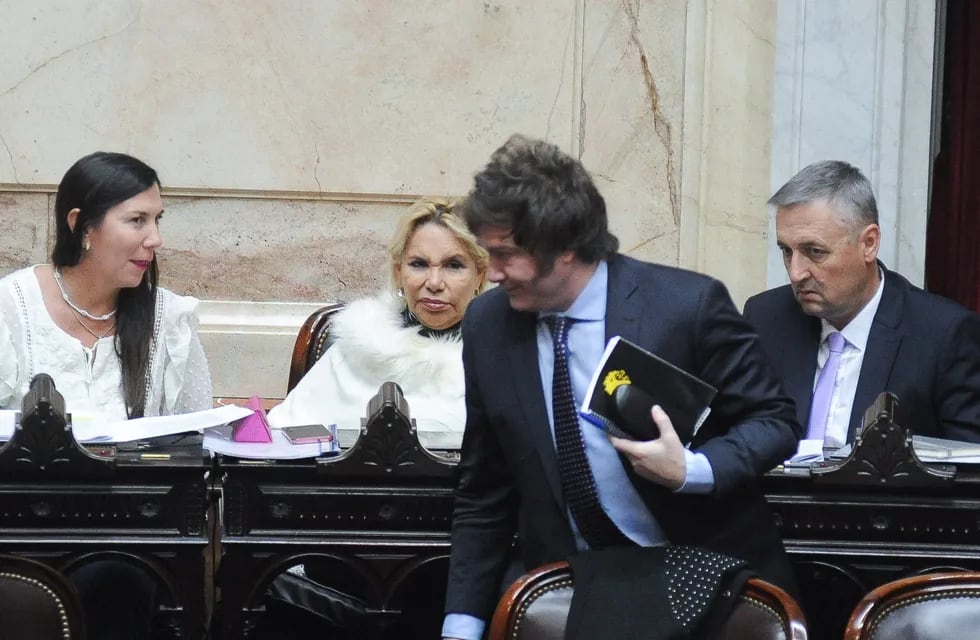 Javier Milei deberá conseguir los votos para aprobar el primer Presupuesto de su gestión. Foto: Federico López Claro