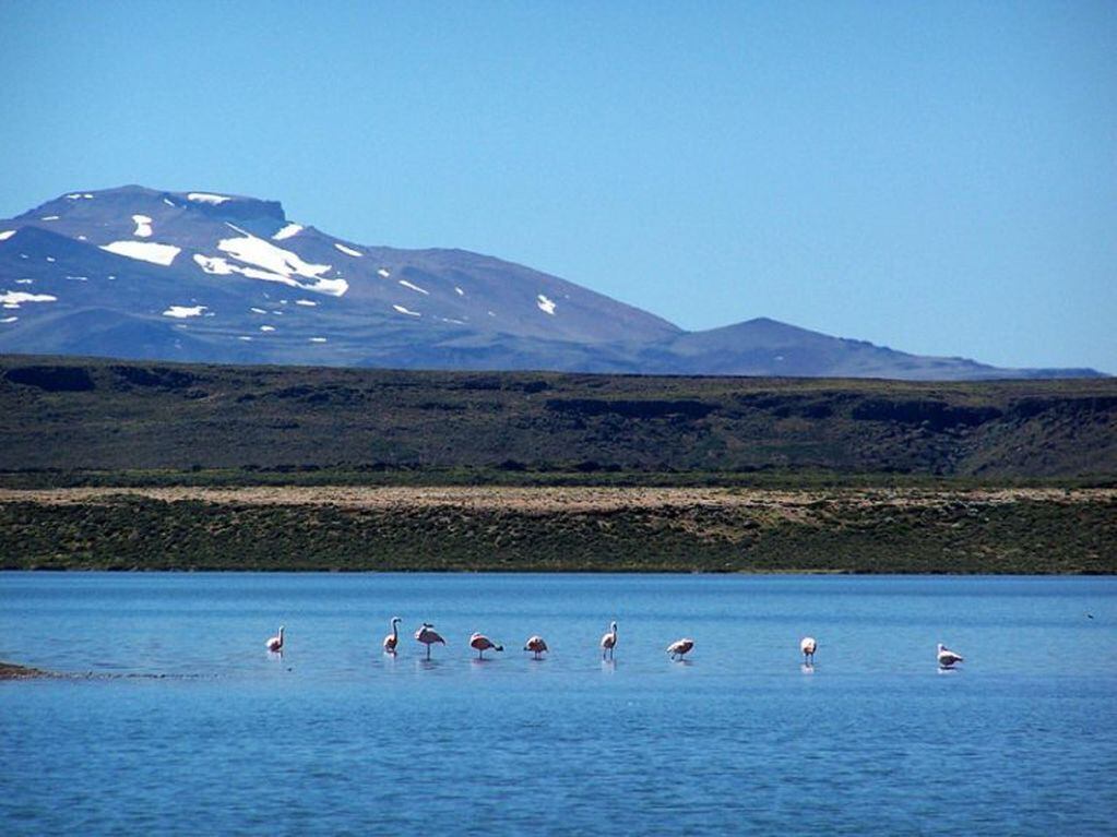 Parque Nacional Laguna Blanca (Web)