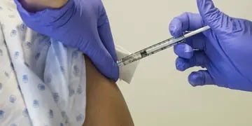 RECOMENDACIONES. La vacunación contra la fiebre amarilla está recomendada para varios destinos brasileños. (AP)
