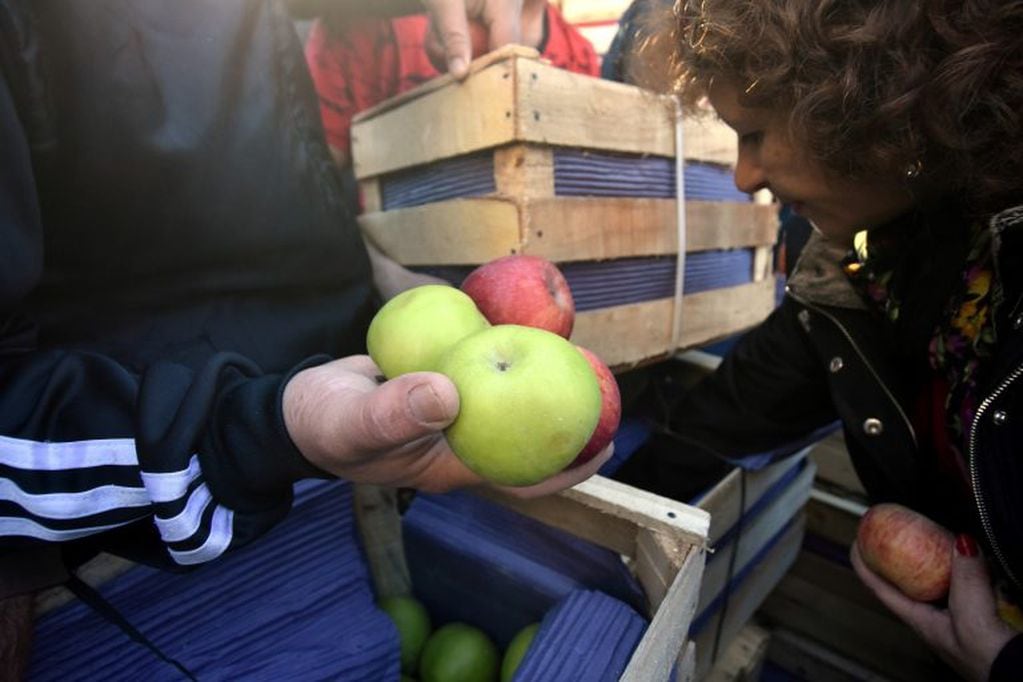 La producción de peras y manzanas es una de las más importantes en la provincia (web).
