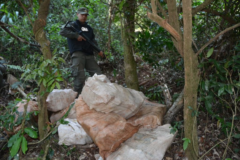 Colonia Mado: incautaron más de 300 kilos de marihuana abandonados en una vegetación