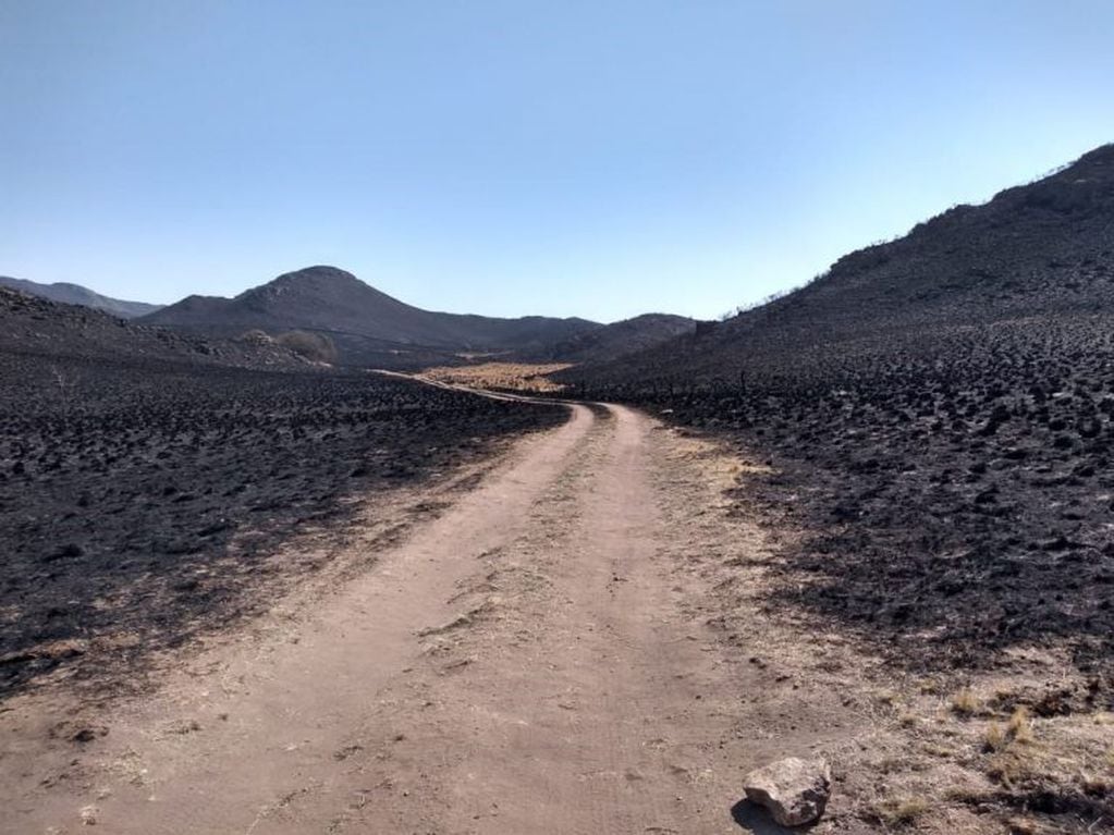 Zonas afectadas por los incendios en Córdoba (Brigada Forestal Chavascate)