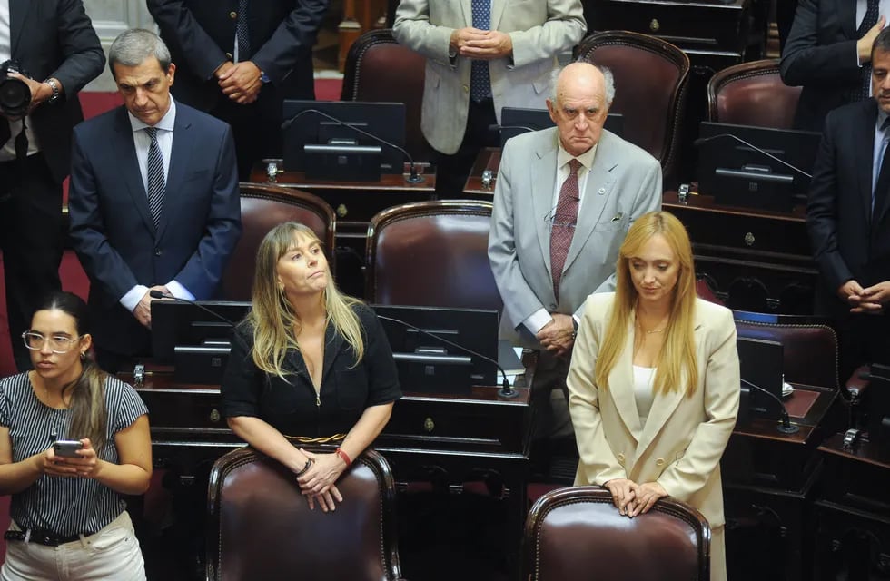 La senadora Juliana Di Tullio responsabilizó a Juntos por el Cambio por la situación en Rosario. Foto: Federico López Claro.