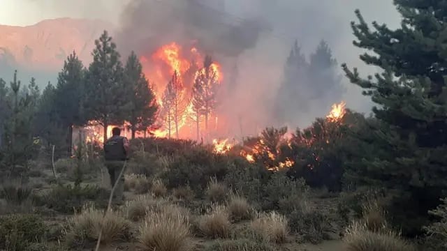 Incendio en El Bolsón