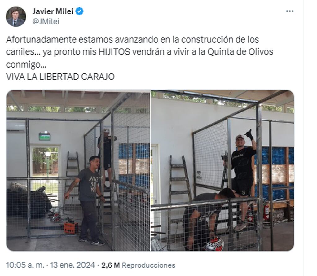 Las reformas para los perros de Javier Milei