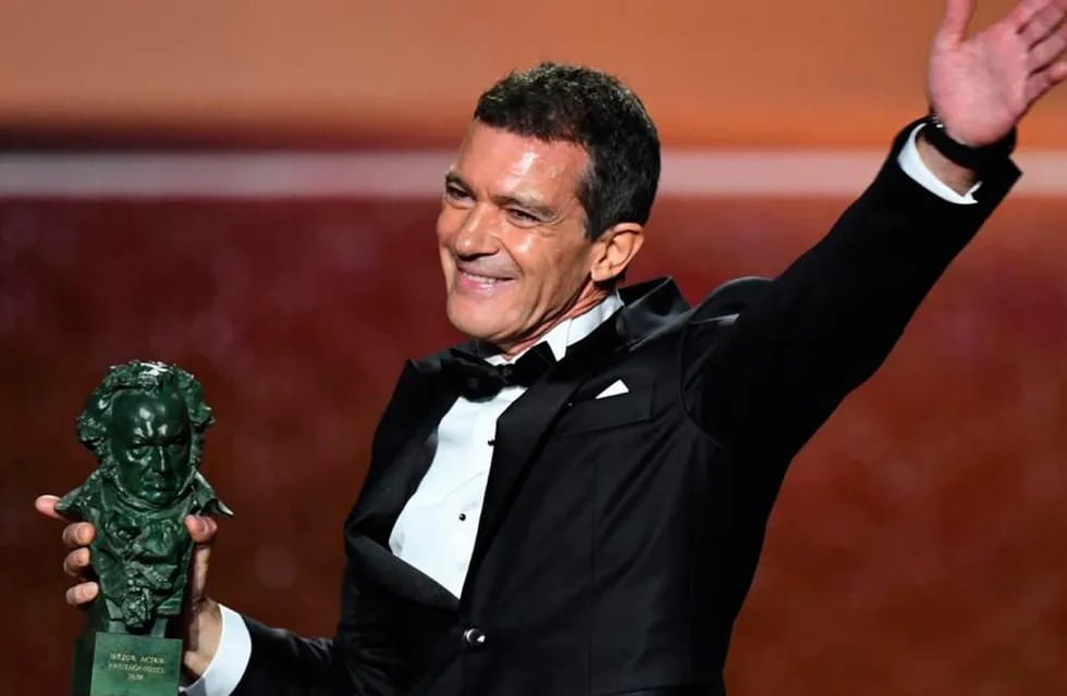 El año pasado, Antonio Banderas ganó el premio a mejor actor por Dolor y gloria