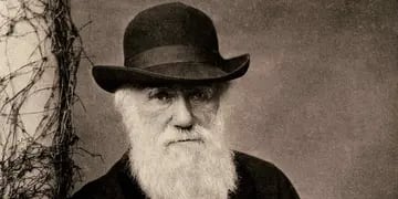 Charles Darwin. La teoría de la evolución aún genera resistencias.