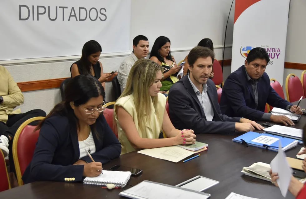 La Comisión de Legislación General de la Legislatura de Jujuy constituyó a sus autoridades para el periodo 2024. El diputado Adriano Morone fue designado su presidente, y la diputada Daniela Vélez vicepresidente (ambos al centro).
