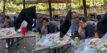 Un oso asustó a una familia mientras almorzaba