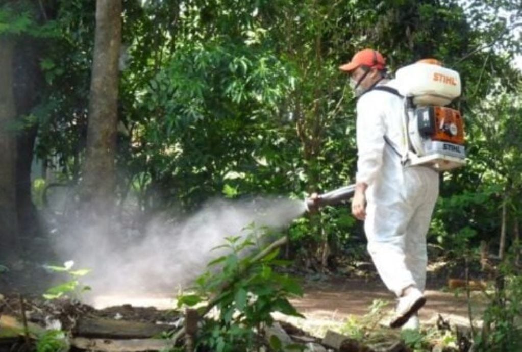 Detectan dos casos de chikungunya en Puerto Iguazú.