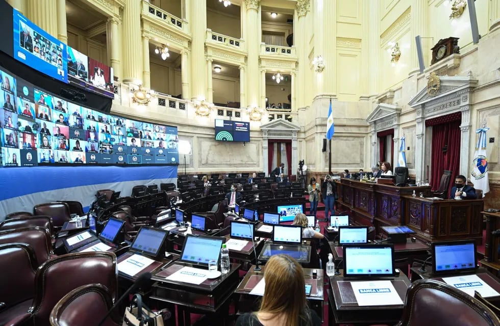 Sesión en el Senado de la Nación. (Foto: Prensa Senado)