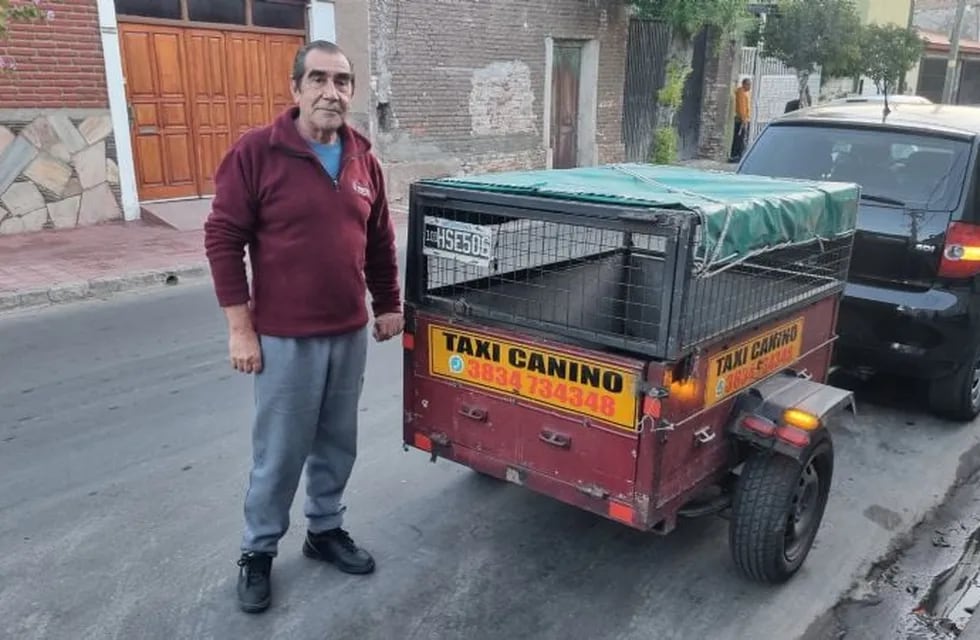 Taxi canino, la innovadora propuesta de un catamarqueño que transporta mascotas de forma segura.