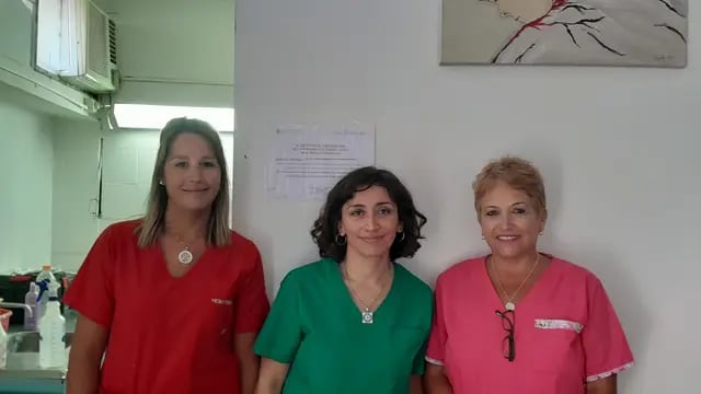 Día Nacional del Donante de Medula Ósea: Tres Arroyos y su centro de captación de donantes