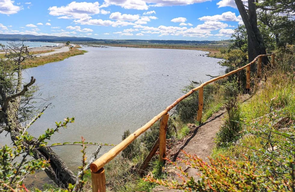 Se trabaja en la etapa de construcción y adecuación de un sendero interpretativo para la observación de aves dentro de la Reserva Municipal Desembocadura del Río Turbio.